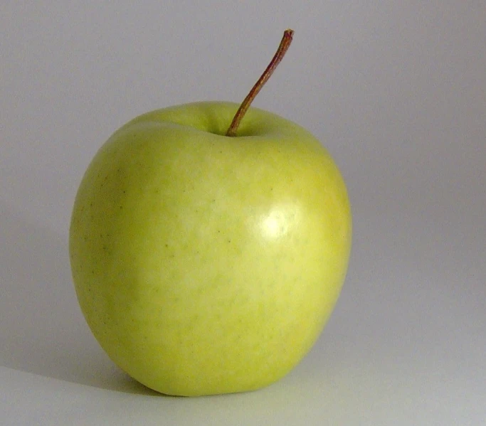 an apple on a white background with a tiny twig