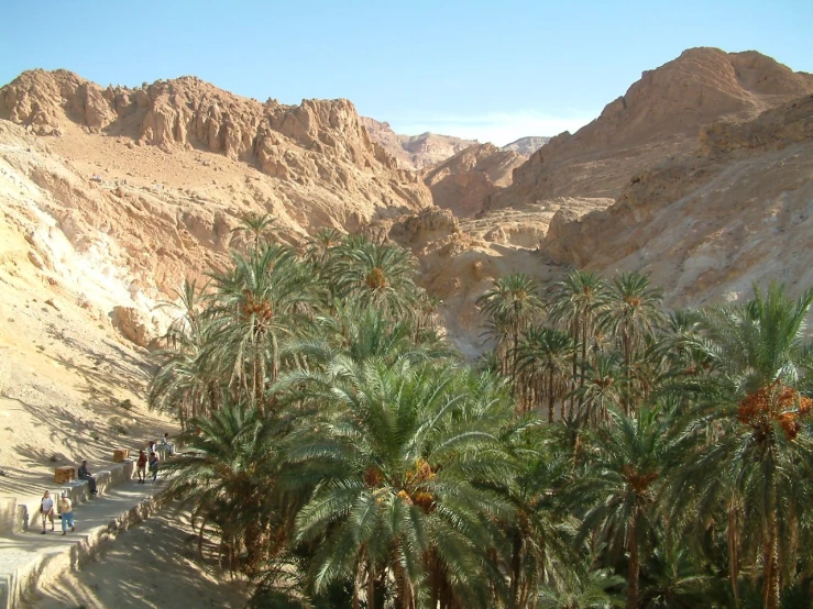 a group of people walking along a pathway through the desert