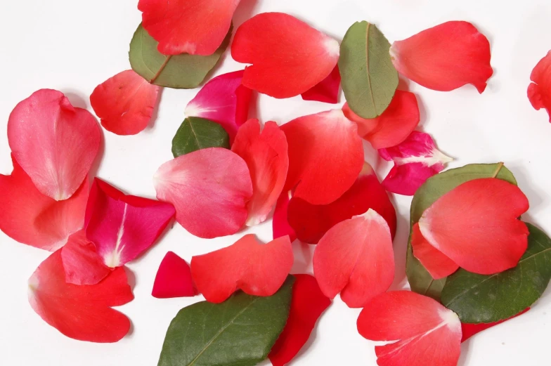 several roses petals and leaves are laying on a table