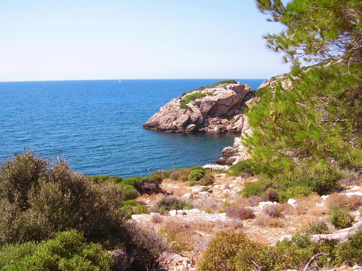 there is water and trees along with some rocks