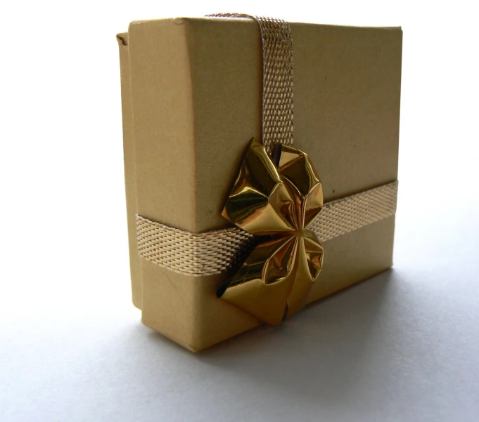 a brown present box with gold ribbon on a white background