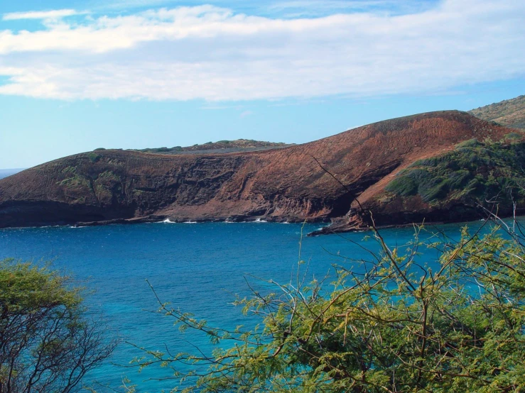 trees in front of blue water with hills on the edge