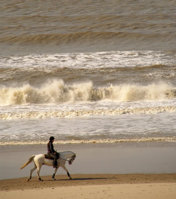 a person riding a white horse along the beach