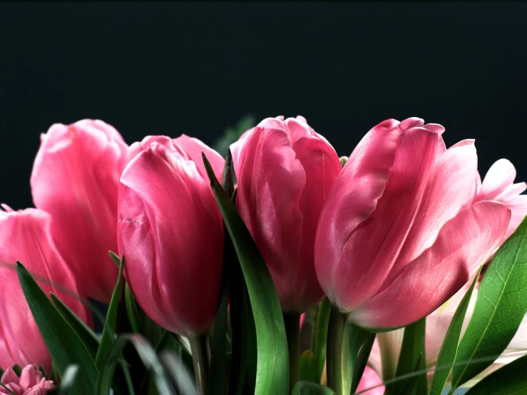 flowers are laying in a vase and some are still on