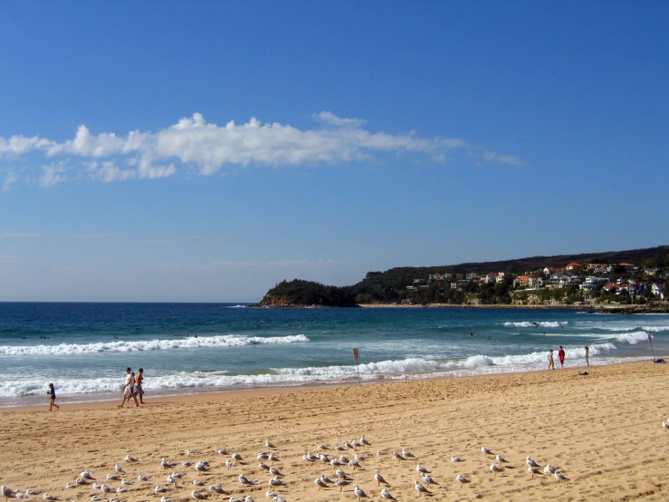 people on the beach next to a city