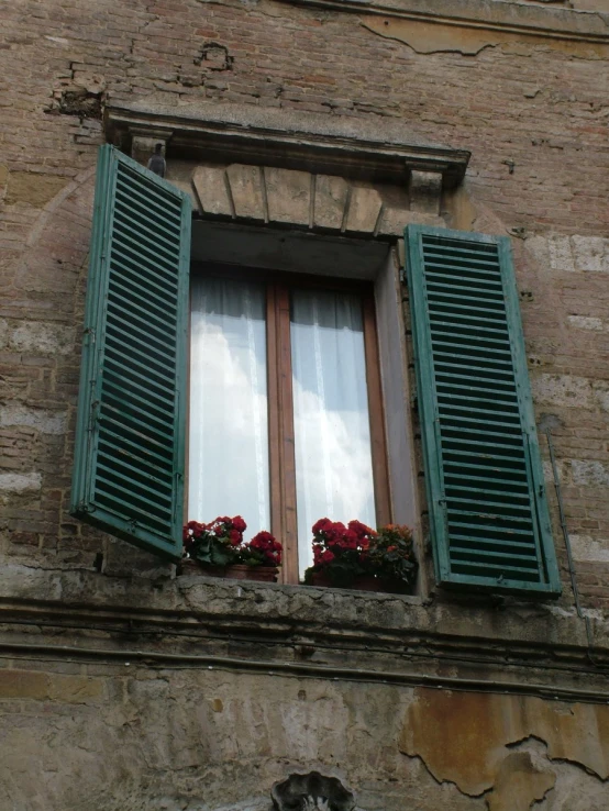 there are flowers sitting in the window boxes