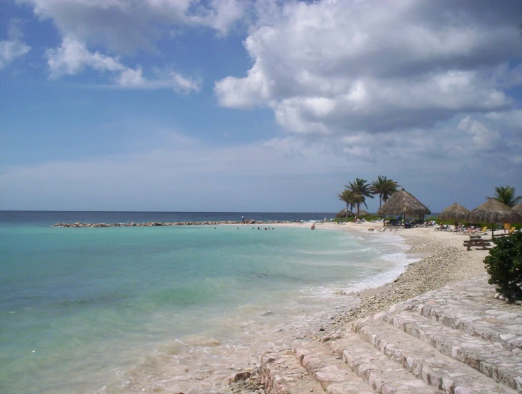 view of the beach with palm trees in the distance