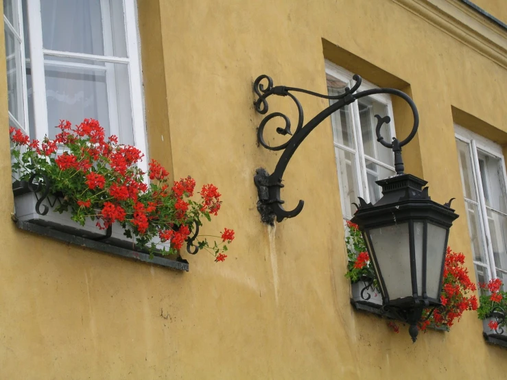 a bunch of window boxes filled with flowers