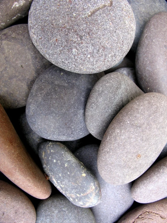 rocks of various colors, shapes and sizes on a pile