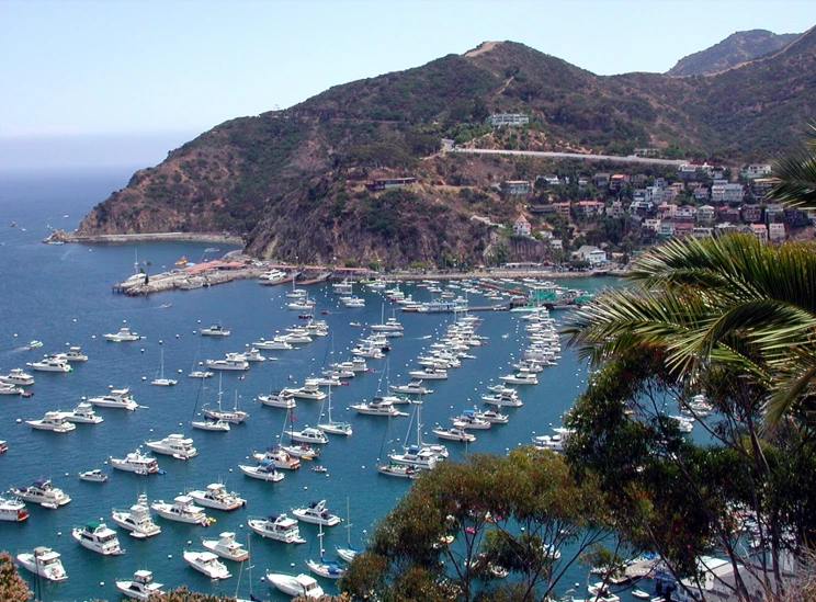 a very crowded boat marina filled with many different boats