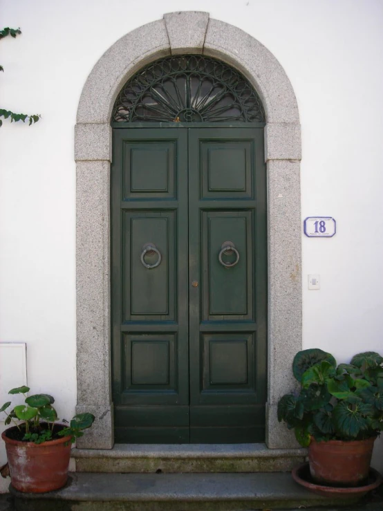 two pots of potted plants sit in front of a double doors