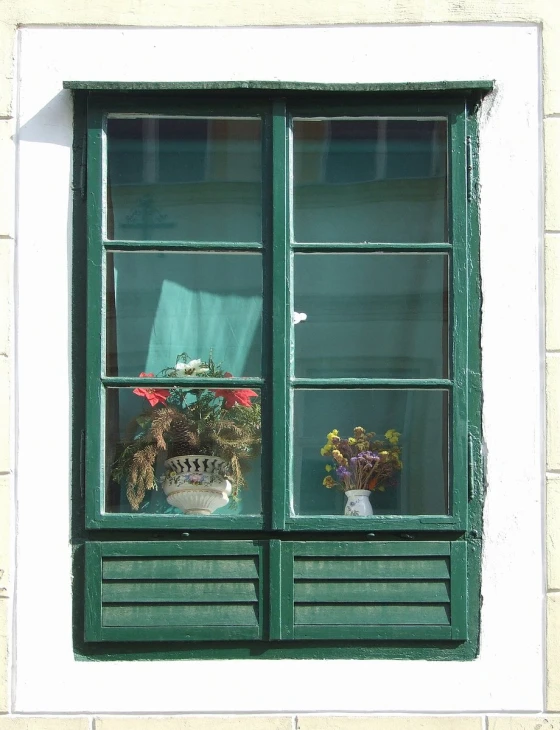 a window with plants outside of it