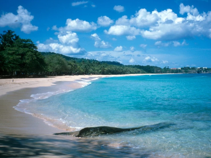 a beach has clear water and sandy shore