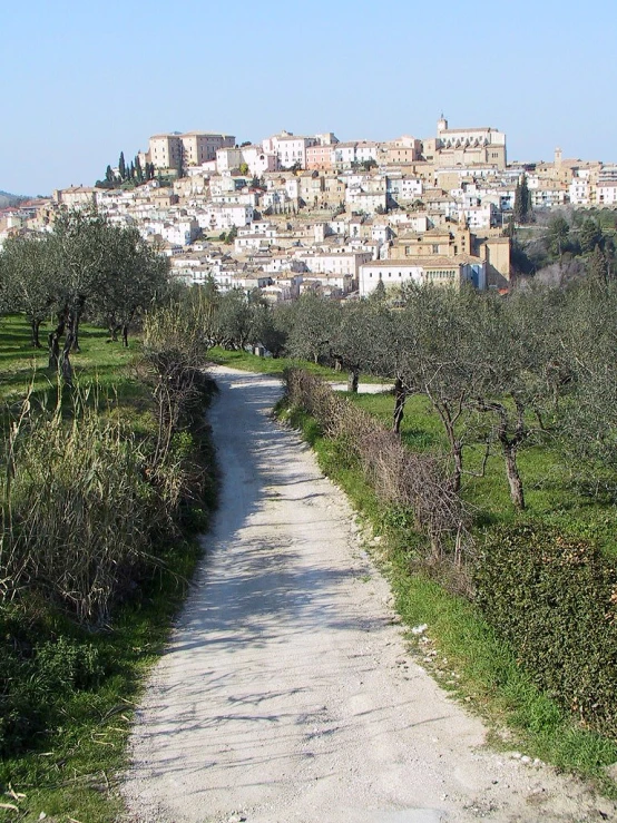 a road in the middle of an area that has lots of trees on each side and some buildings on the top of a hill