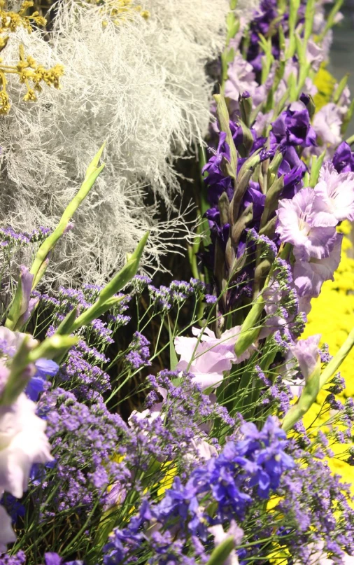 some purple and yellow flowers are by some water