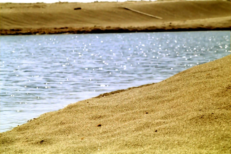 a bird standing on top of the sand near water