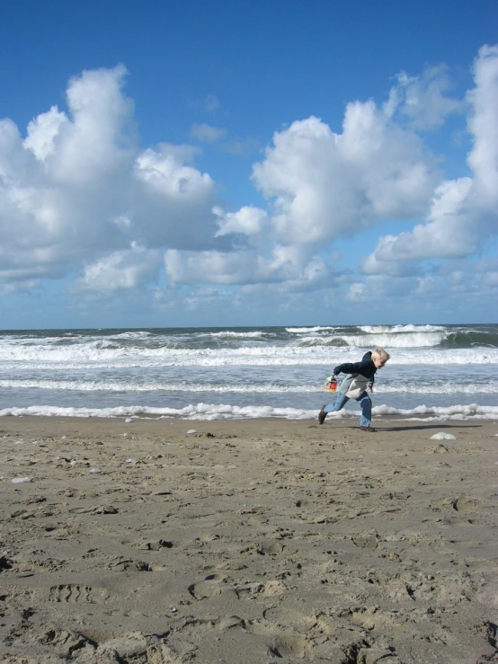 a person walking on the beach, with a dog nearby