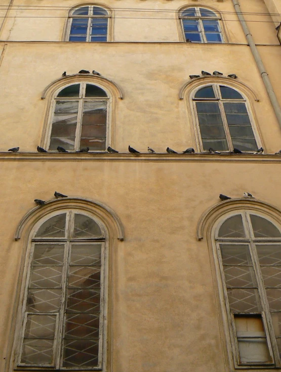 there are birds perched on the windows of a building