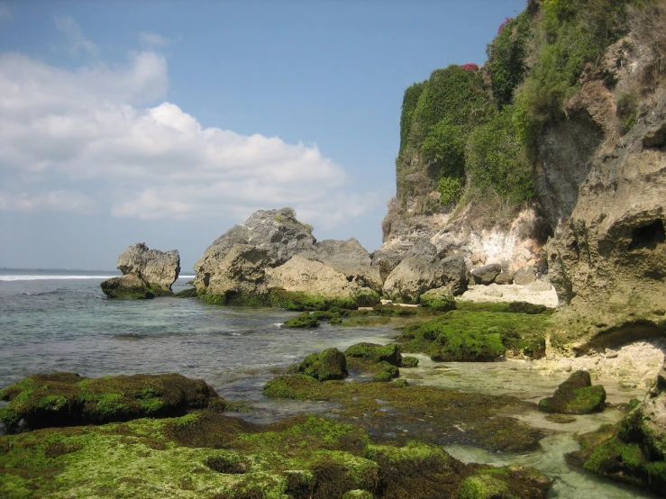 a beach with some rocks and grass in the foreground