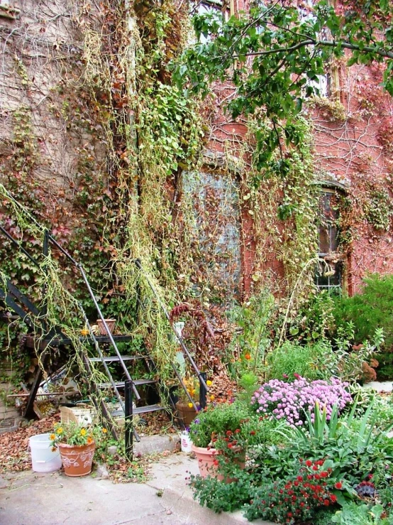 a garden is next to a building that is full of flowers and vines