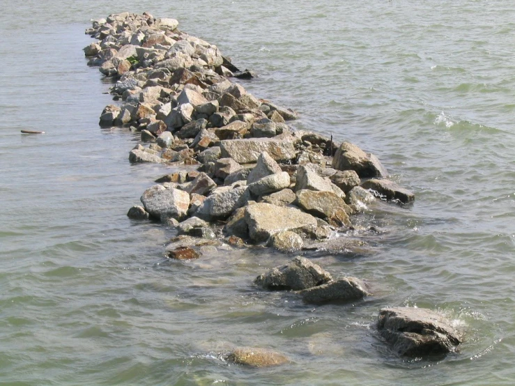 a cement concrete breakwall is separated by sea grass and rocks