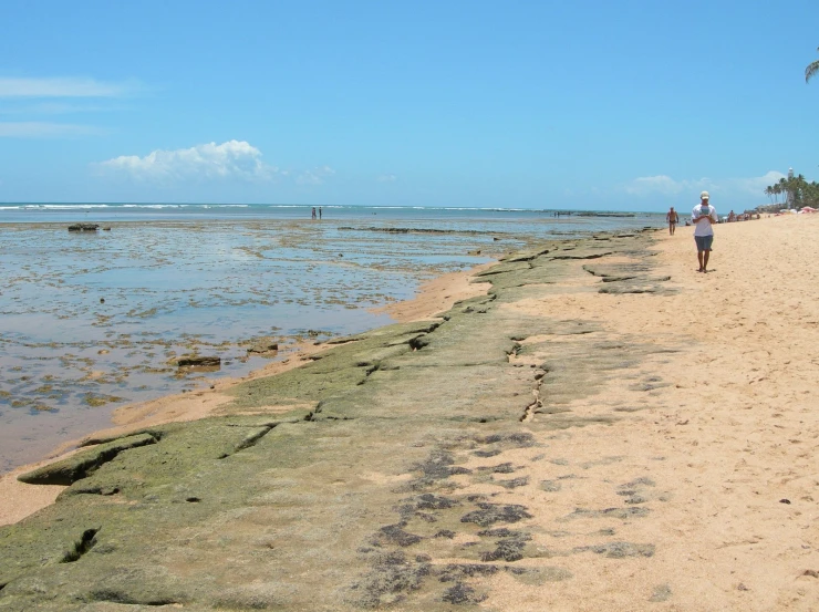 some people walking by the beach and an ocean