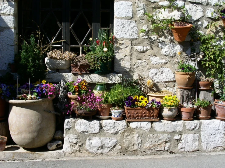 a couple of pots that are on a stone step