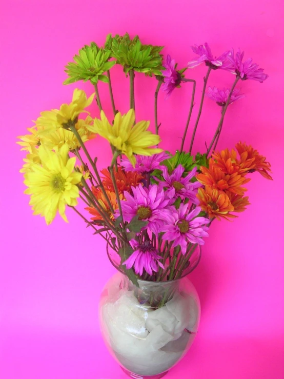 flowers in a vase on a pink background