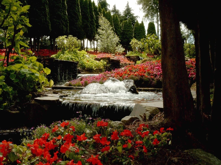 a beautiful garden that is well manicured and filled with flowers