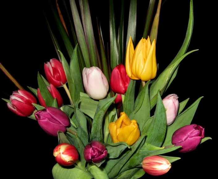 a bouquet of different colored tulips sits in a vase