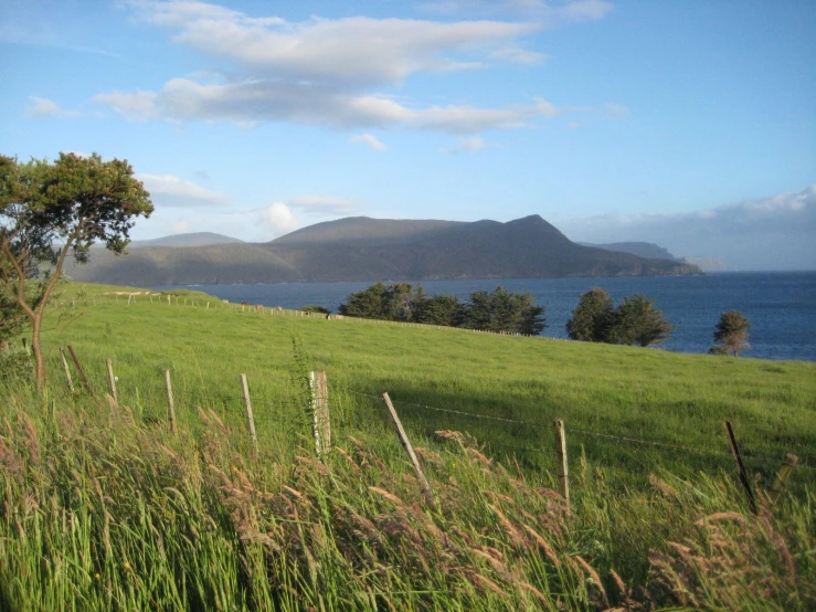 a fence with a grassy hillside and an ocean in the background