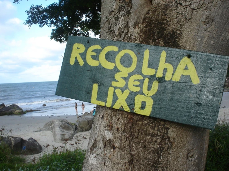 the yellow and green sign is painted on the bark of a tree