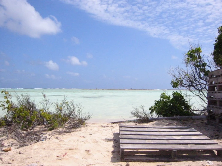 wooden bench overlooking the blue ocean on a beach