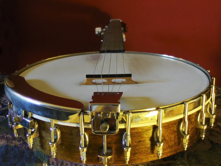 a small white and brown musical instrument is on display