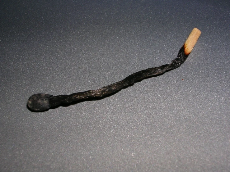 a worm on a table and black background