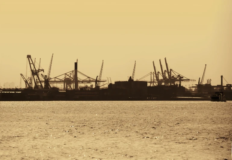 a black and white po of cranes at the sea