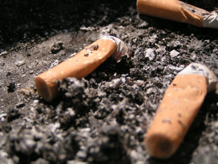 several cigarettes on the ground, one is broken