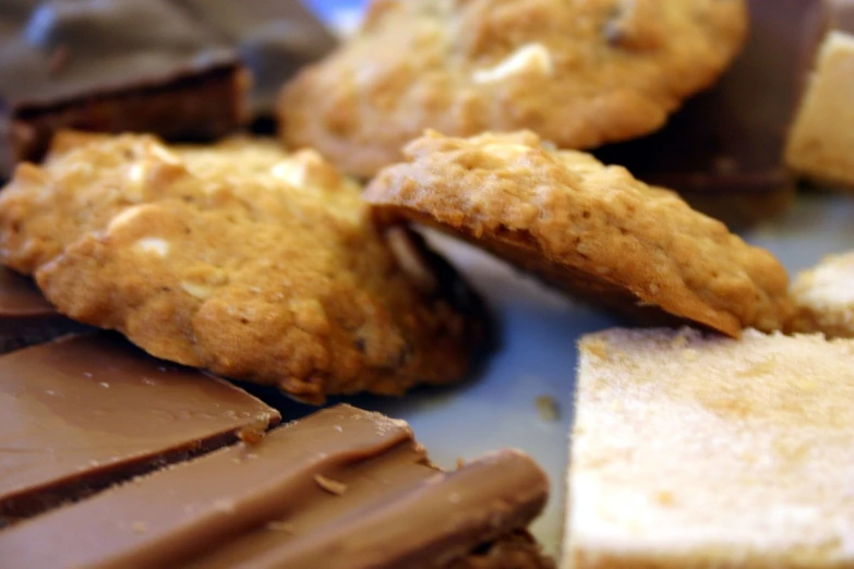 a plate with some pieces of cookies and chocolate