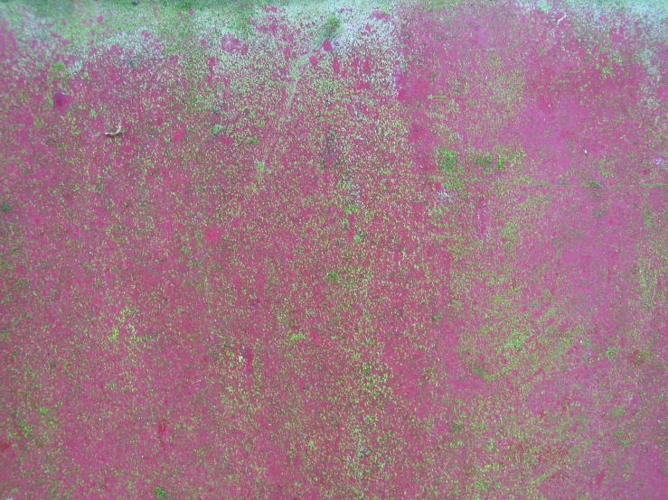 a pink and green wall painted with various colors