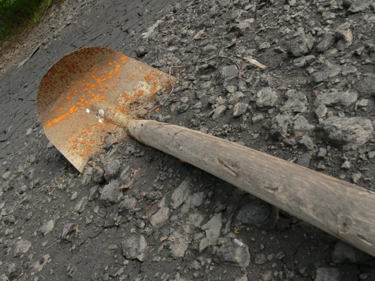 a shovel laying on its side on a road