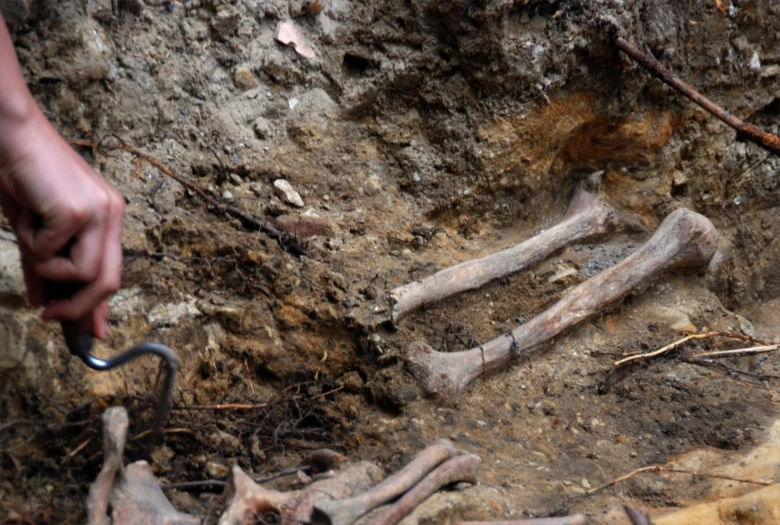 a person holding a metal object in the dirt