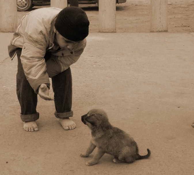 a person squating down on the ground next to a small dog