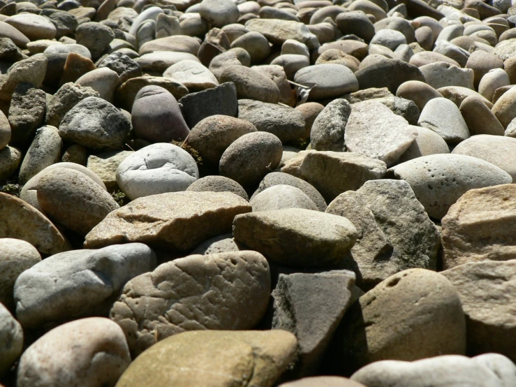 some very big pretty rocks by the ground