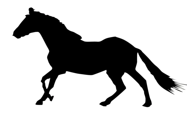 a silhouette of a horse on white