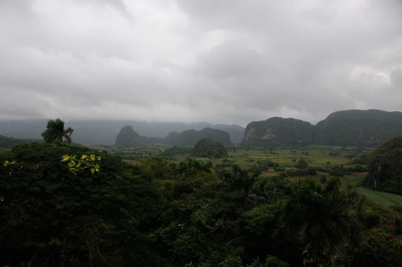 a scenic view of trees, bushes, mountains and clouds