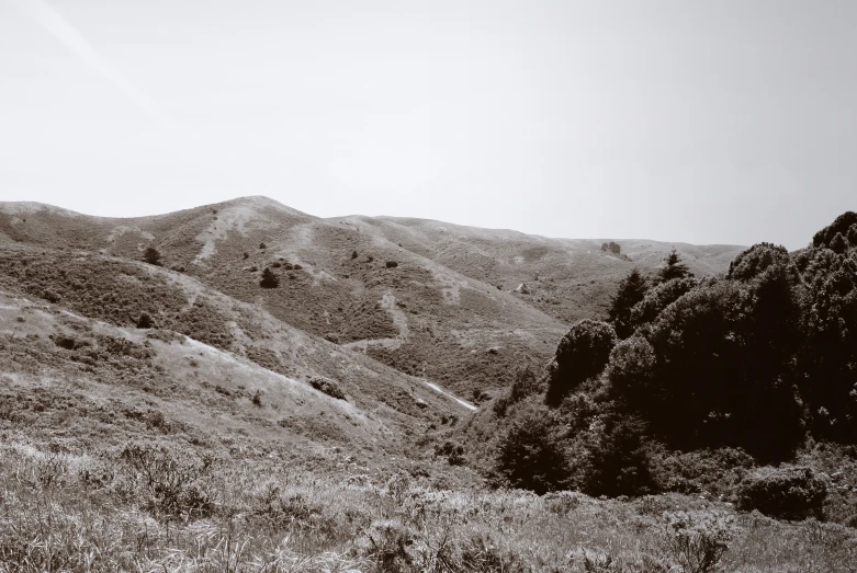 a landscape with hills, trees and bushes