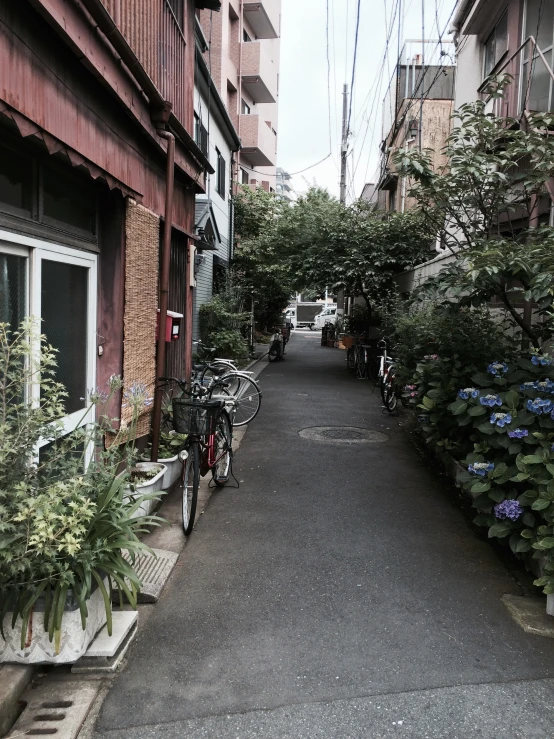 a narrow alleyway between two buildings with trees, plants and bikes parked along both sides of the alleyway