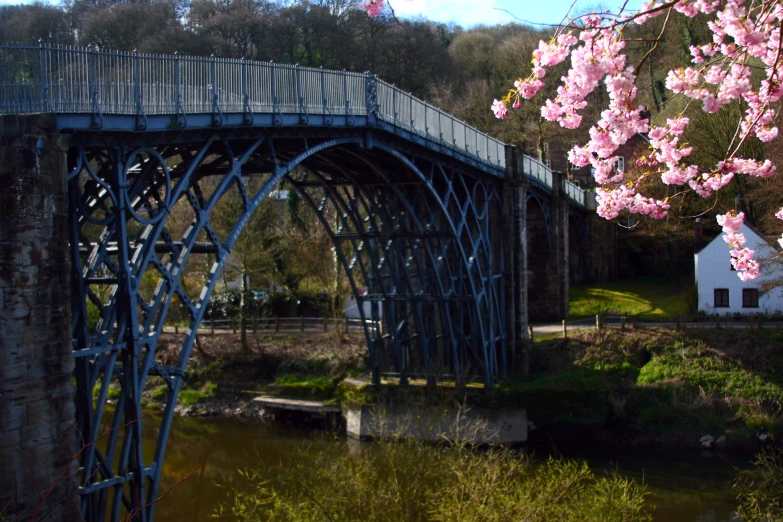 pink flowers bloom on the side of a bridge