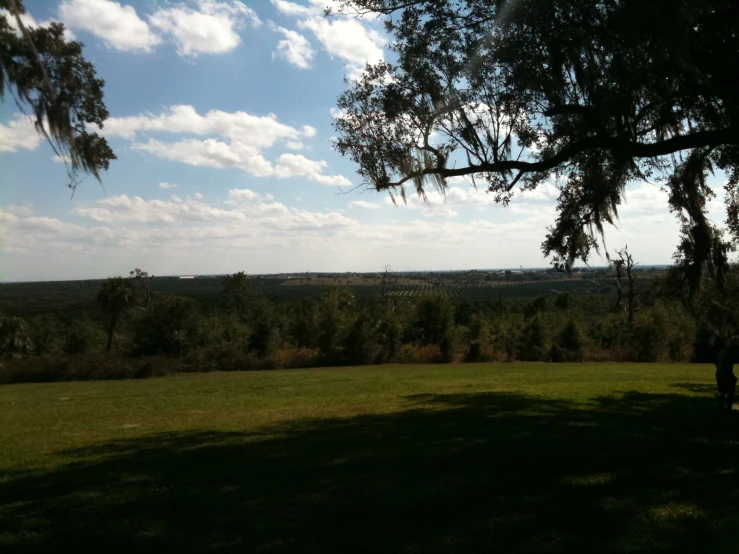 a person sitting under a tree on top of a lush green field