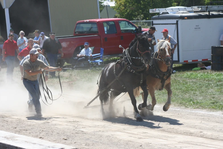 a man is running with his horse and pulling it